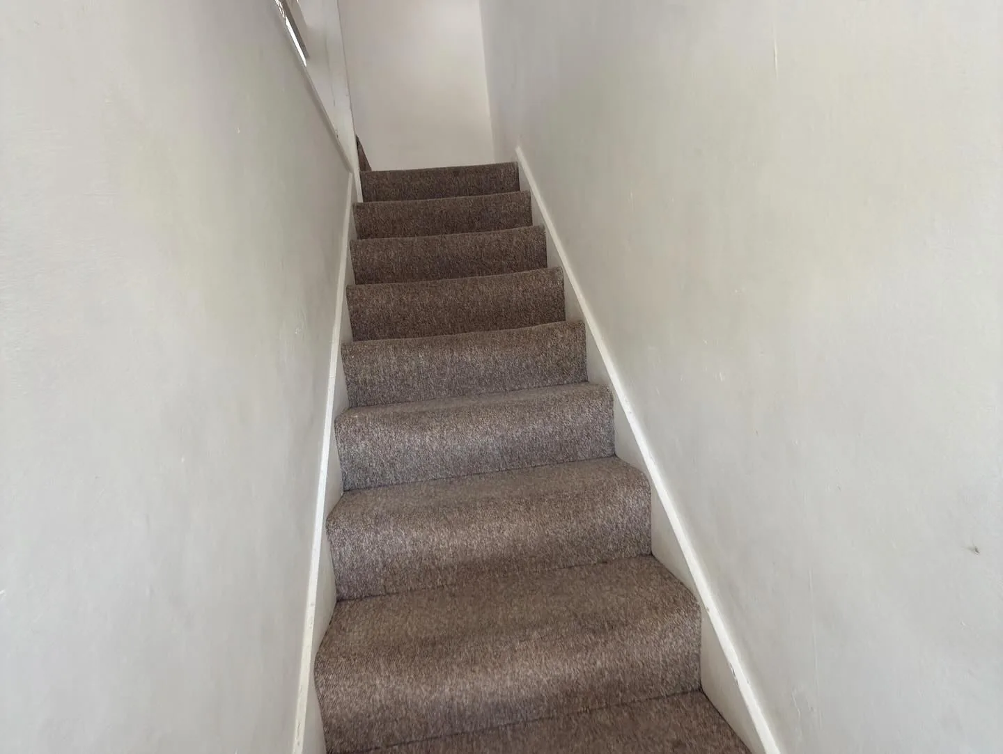 Clean brown staircase carpet after a deep clean
