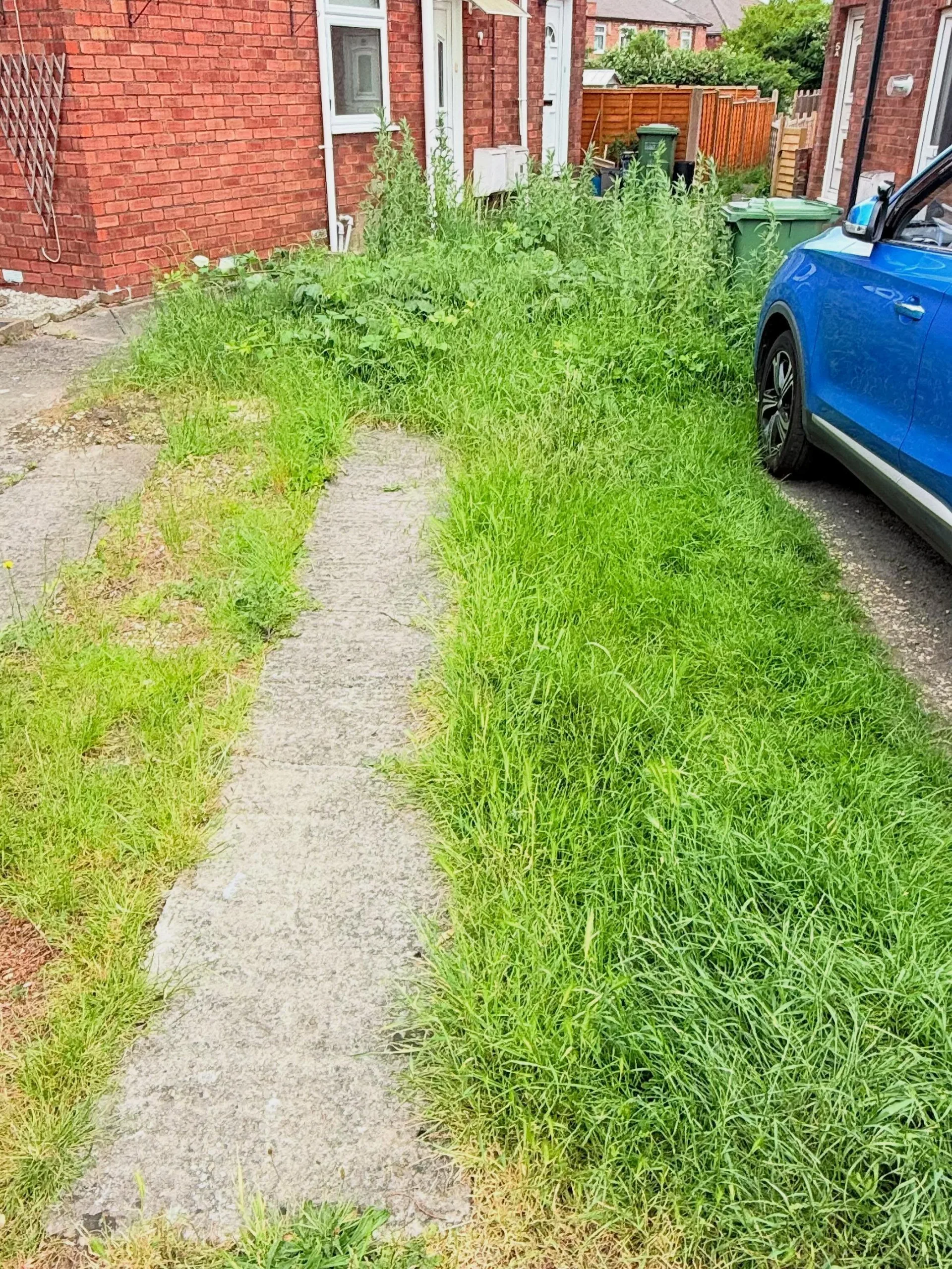 Front garden completely overgrown with tall grass before a tidy-up