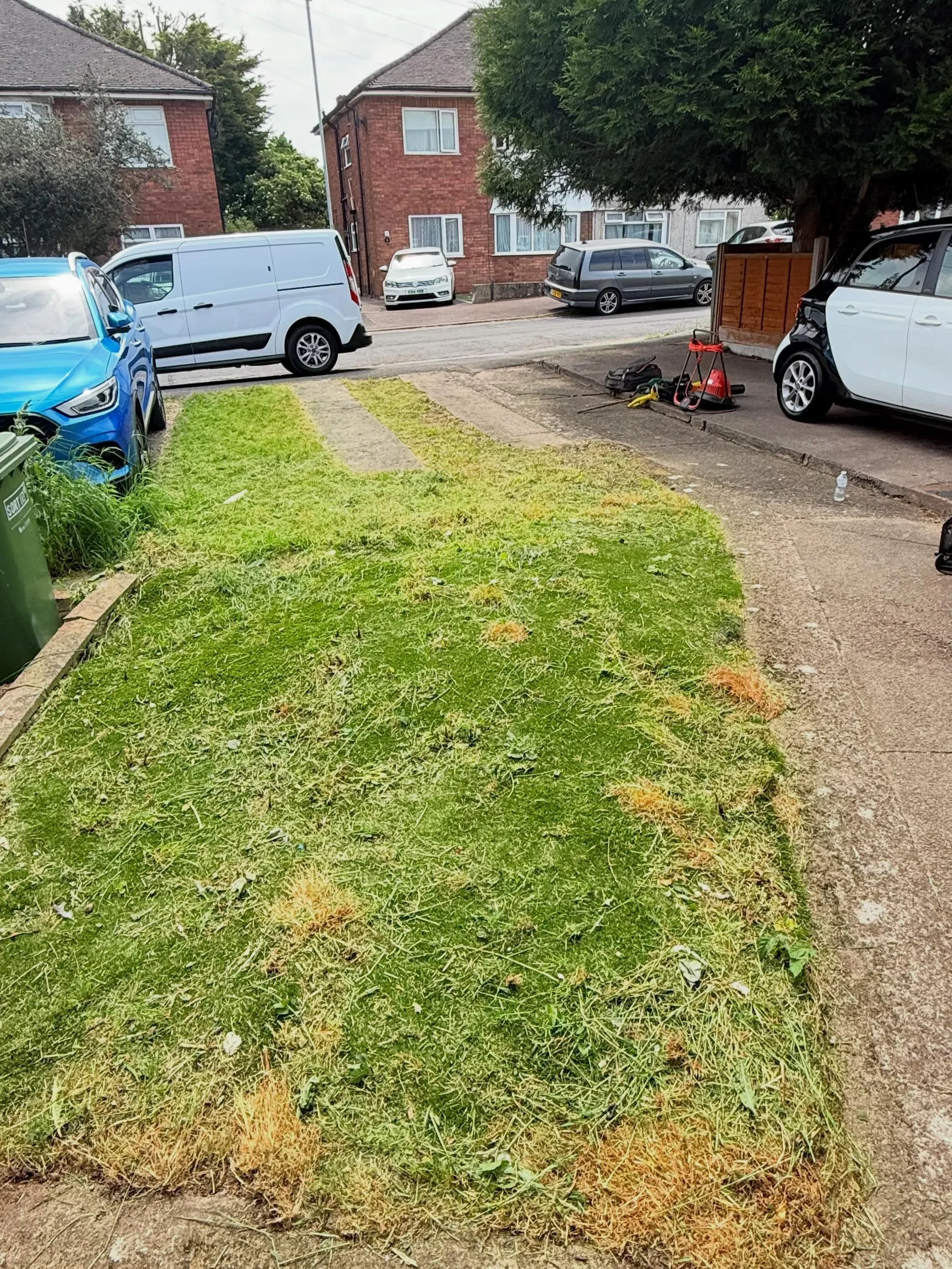 Neat trimmed hedge alongside a freshly mowed lawn edge