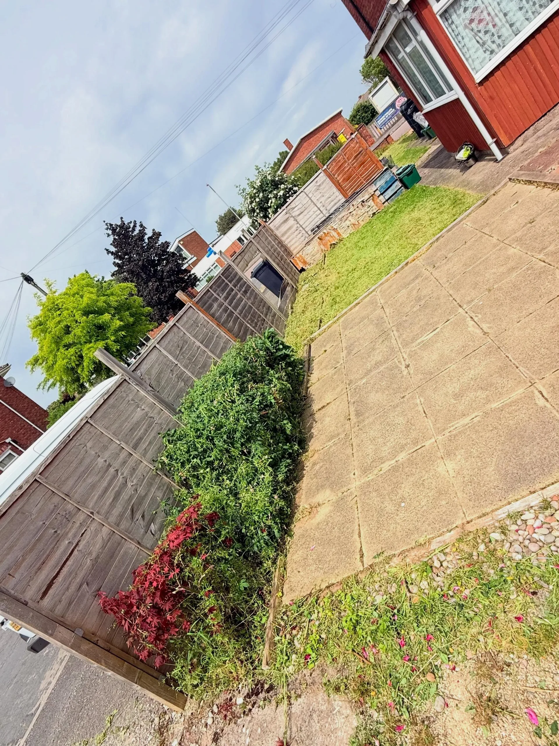 Neatly mowed lawn and tidy driveway edge after a garden maintenance visit