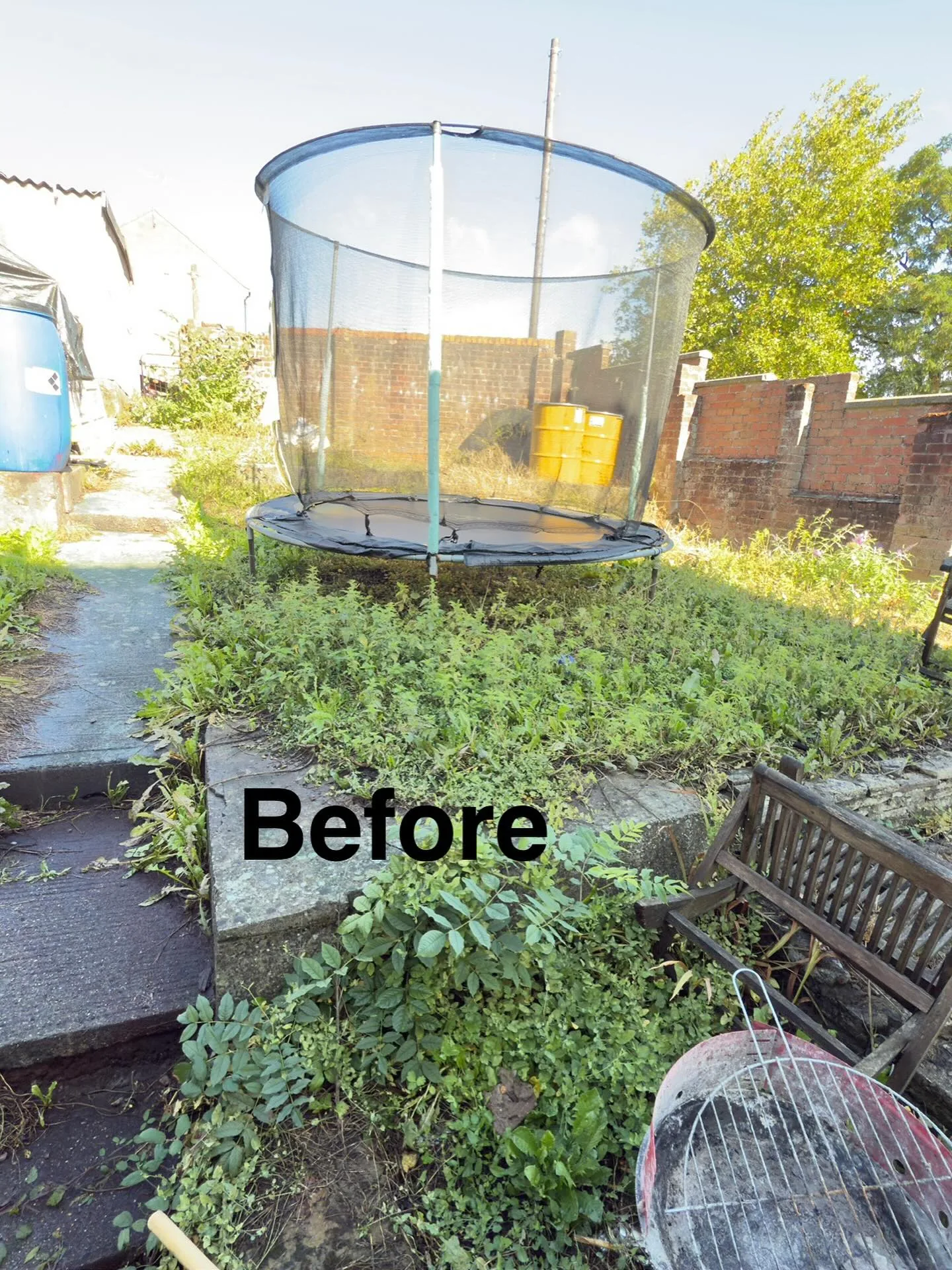 Trampoline lost in an overgrown, weed-filled garden before clearance