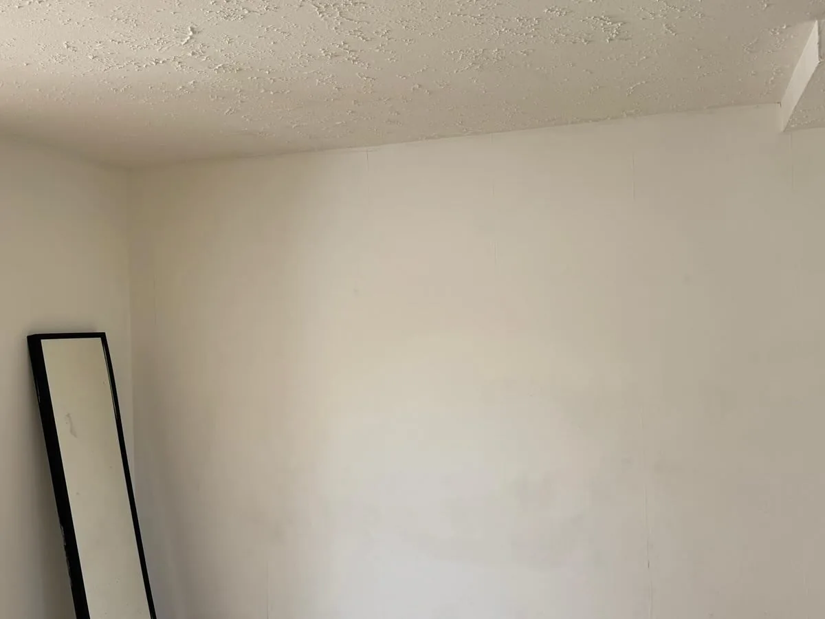 Freshly painted bedroom corner with crisp white walls