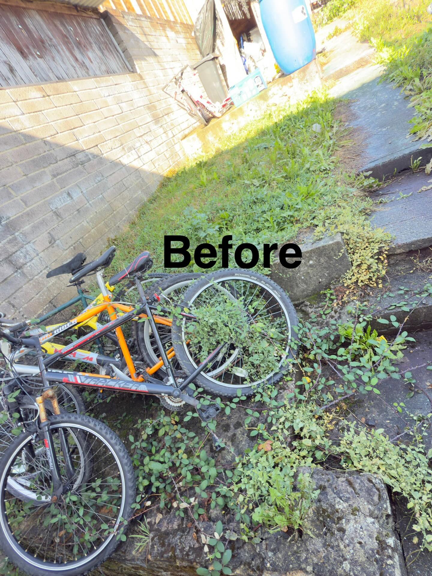 osapire_enterprise_ltd_1757056088_3714778168327425025_75549397973